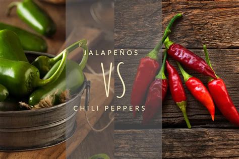 what's the difference between chili and chile